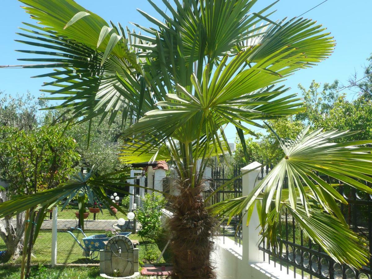 Kallilkratia Holiday Flat 2 Nea Kallikrateia Экстерьер фото
